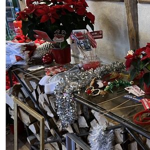Standard – Accessoires der Fotobox von 321Foto.de aus Romrod – 07 – Weihnachten-Fotobox